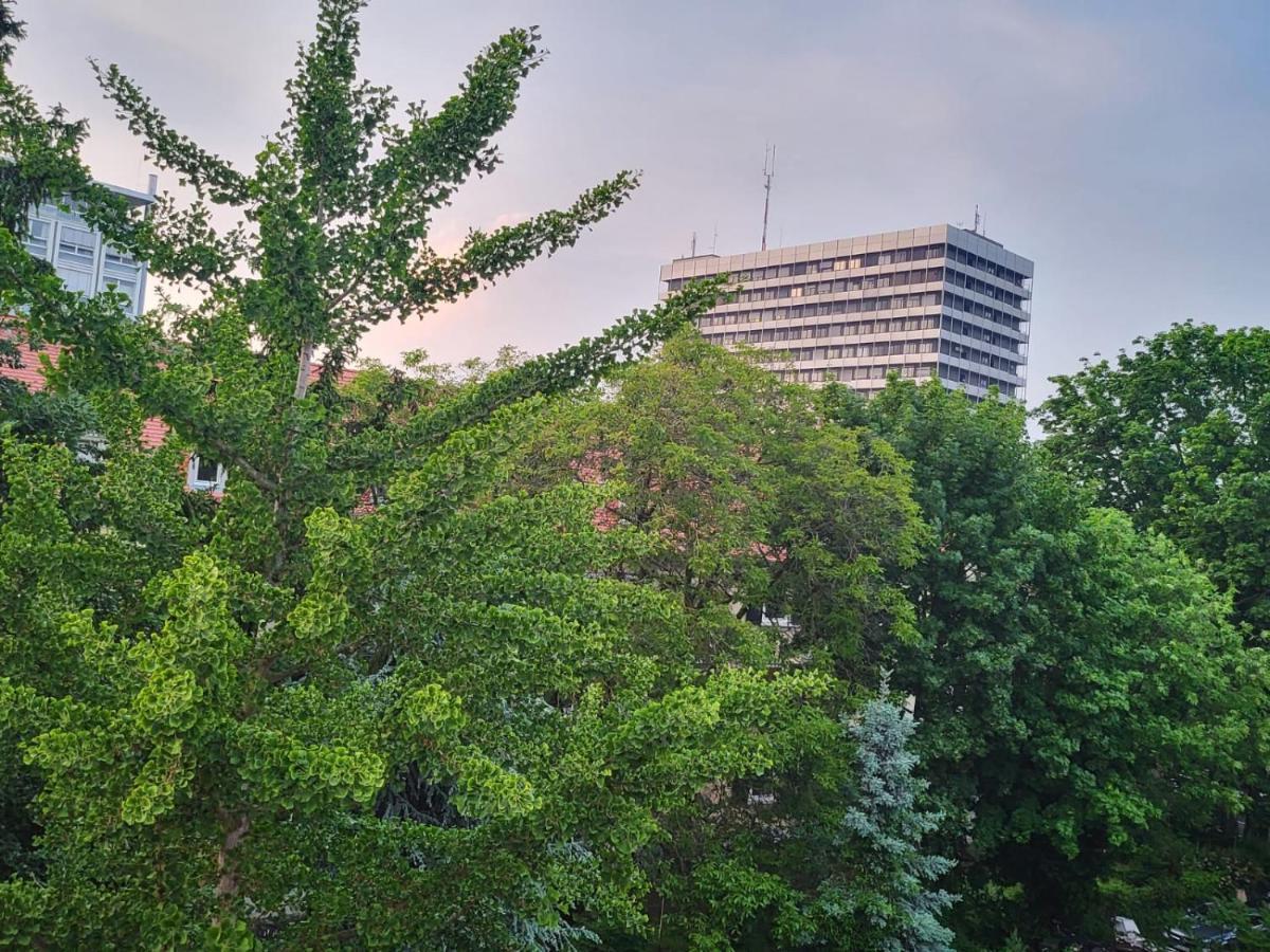 An Der Uniklinik